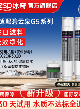 冰奇适用碧云泉G5净水器滤芯莱克净水机R302E/R302D滤芯旗舰店