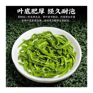 【东吴茶业】2024年p新茶绿袋B01苏州碧螺春明前春茶手工茶浓香耐