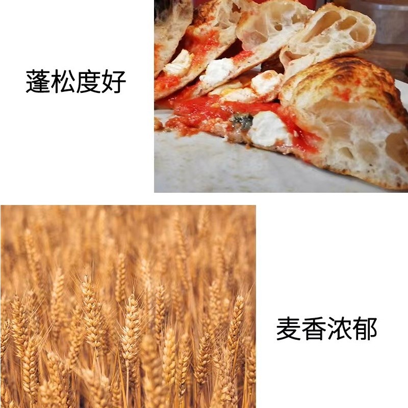 嘉顿冷冻披萨面团半成n品6寸130g西餐商用披萨原材料生面饼9寸10