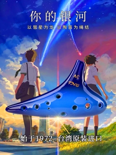 tng陶笛乐器12孔专业陶笛12孔陶笛儿童埙乐器陶笛教程教学送银河