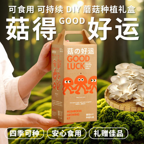 蘑菇种植礼盒可食用可定制伴手礼