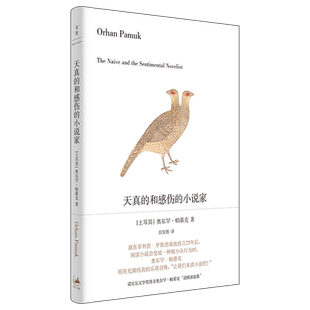 【官方正版】天真的和感伤的小说家 帕慕克作品 诺贝尔文学奖得主作品 世纪文景