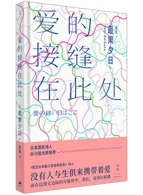 【官方正版】爱的接缝在此处 日本神秘诗人最果夕日作品 最果夕日诗集三部曲第二辑 世纪文景