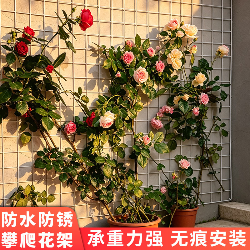 攀爬花架网格铁网挂墙置物架阳台花盆挂篮挂架植物墙壁挂挂钩挂架