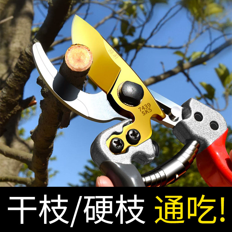 果树修剪刀修剪树枝剪刀树枝专用剪刀枝修枝剪园林修剪花艺修花剪_虎窝淘