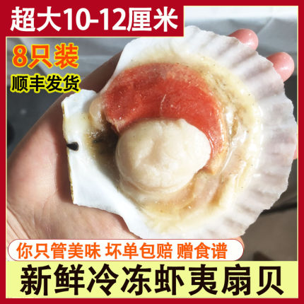 特大半壳扇贝鲜活冷冻商用海鲜烧烤蒜蓉粉丝食材带壳超大虾夷扇贝