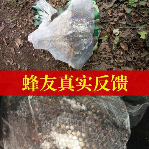 马蜂网袋加大加厚收全套
