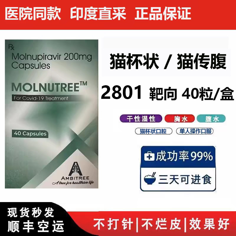 印度进口2801杯状冠状口腔传腹无痛方案干性湿性传腹口服猫用胶囊