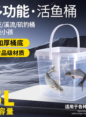 多功能方形透明加厚打水桶装鱼桶大容量钓鱼活鱼箱手提桶塑料桶