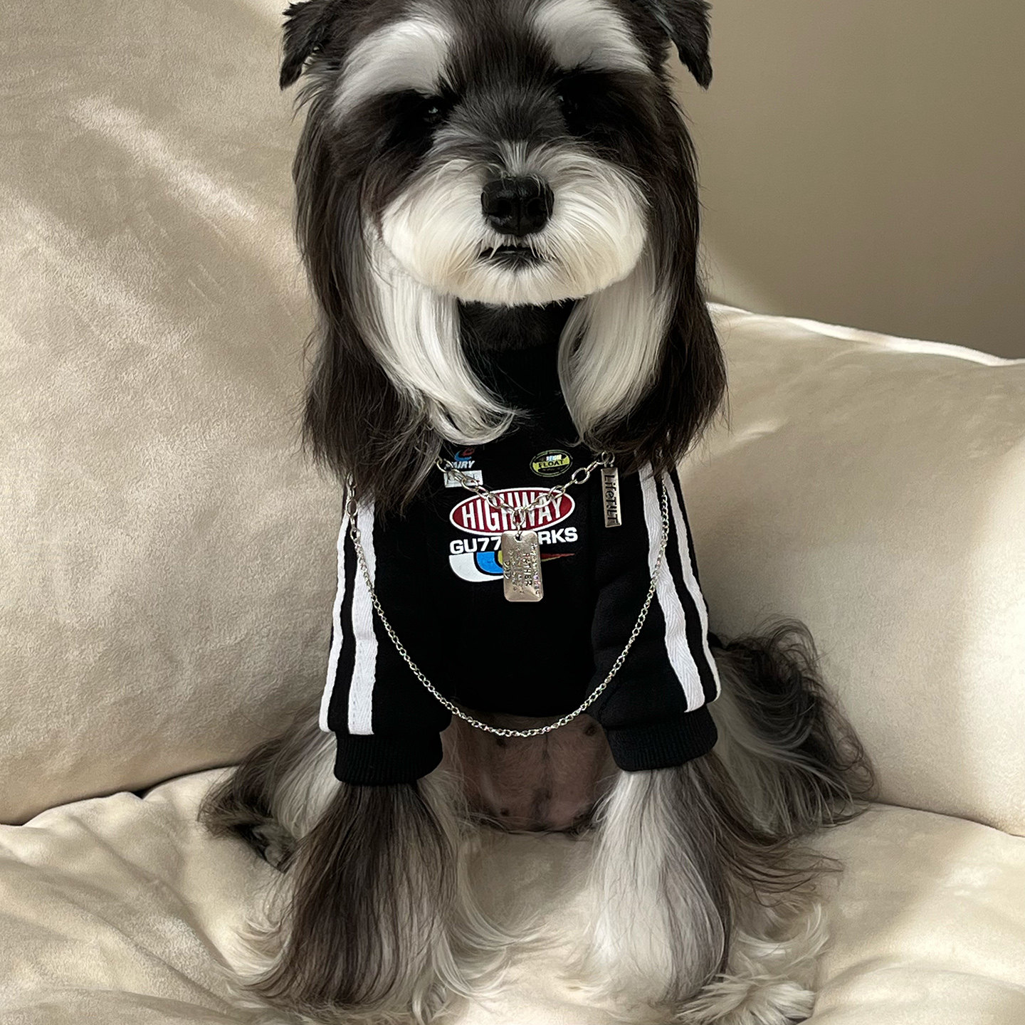 狗狗衣服宠物小狗冬装2026新款秋冬加绒泰迪雪纳瑞小型犬边牧大狗,宠物/宠物食品及用品,狗宠物服装/雨衣,淘宝优惠券,粉丝福利购,淘宝优惠卷