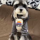 狗狗衣服宠物小狗2026春夏季 小型犬比熊泰迪雪纳瑞边牧大狗 新款