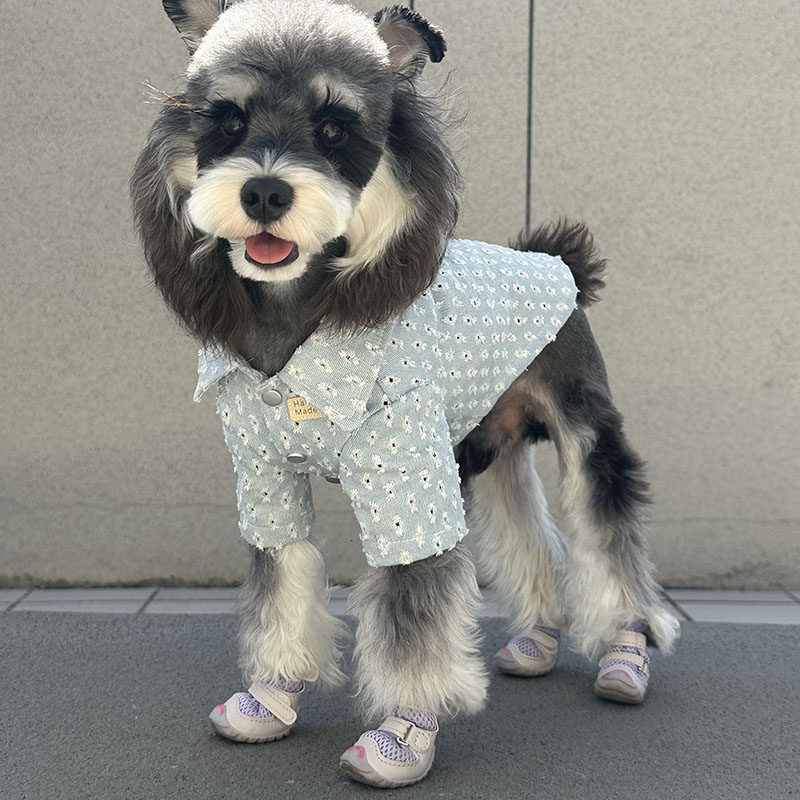 other狗狗猫咪牛仔布狗宠物服装