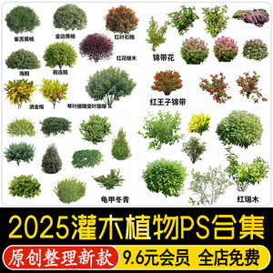 园林景观灌木球ps效果图球形植物红檵木黄杨女贞石楠psd免抠素材