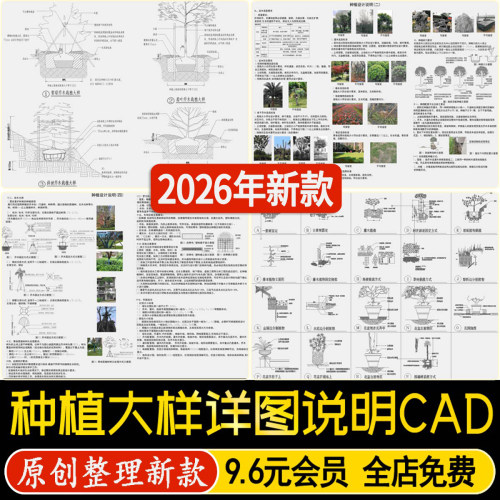 园林景观绿化植物苗木乔木种植施工大样图详图设计说明CAD施工图