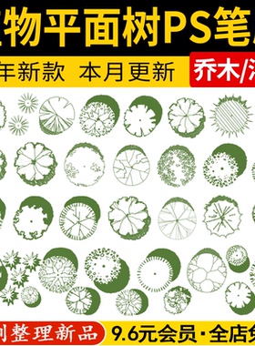 园林景观手绘风乔木灌木树木彩色平面图灰色黑白彩平图植物ps笔刷