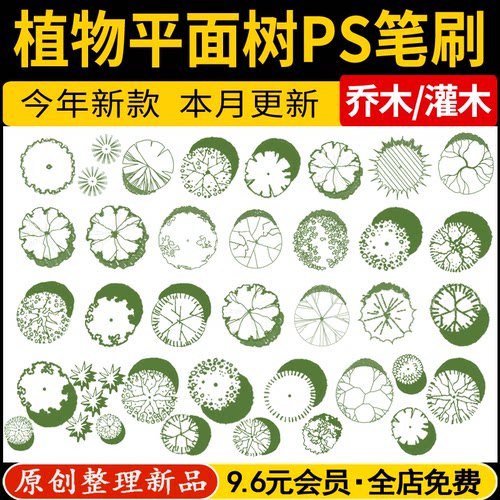 园林景观手绘风乔木灌木树木彩色平面图灰色黑白彩平图植物ps笔刷