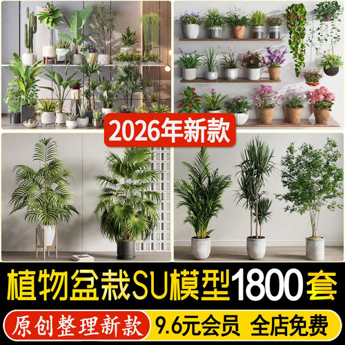 现代室内盆栽植物绿植居家阳台客厅家装常阳台院子庭院su模型素材