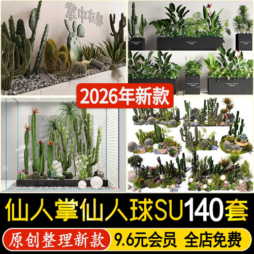 草图大师仙人掌热带多肉植物造景芦荟兰龙血树庭院景观小品SU模型