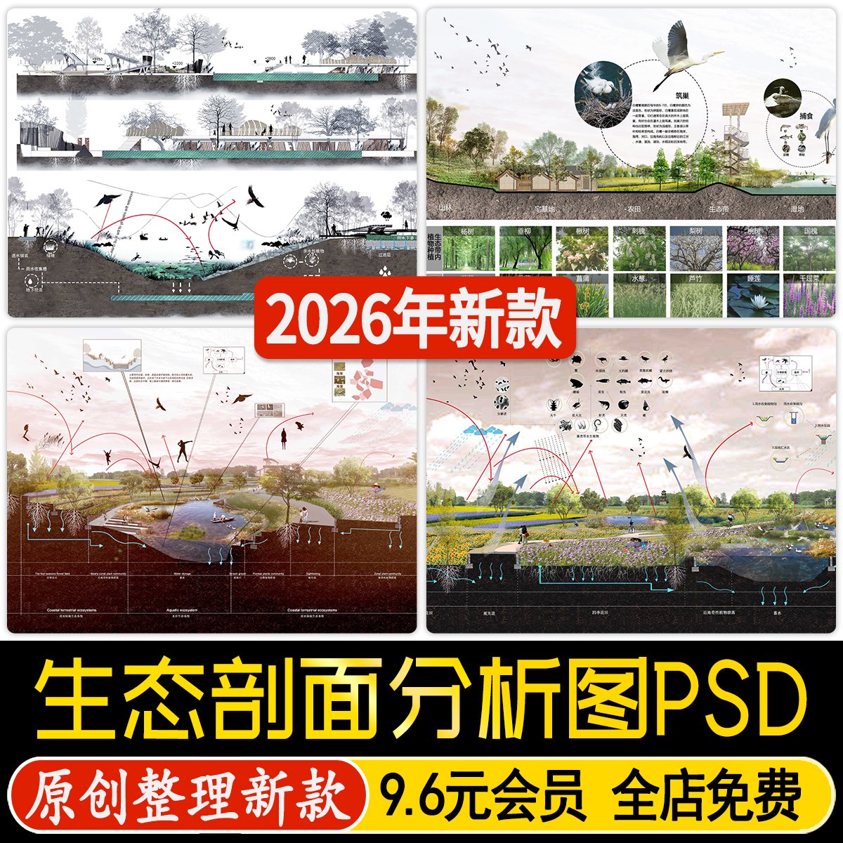 生态湿地公园海绵城市雨水花园景观剖面图分析图psd源文件 ps素材