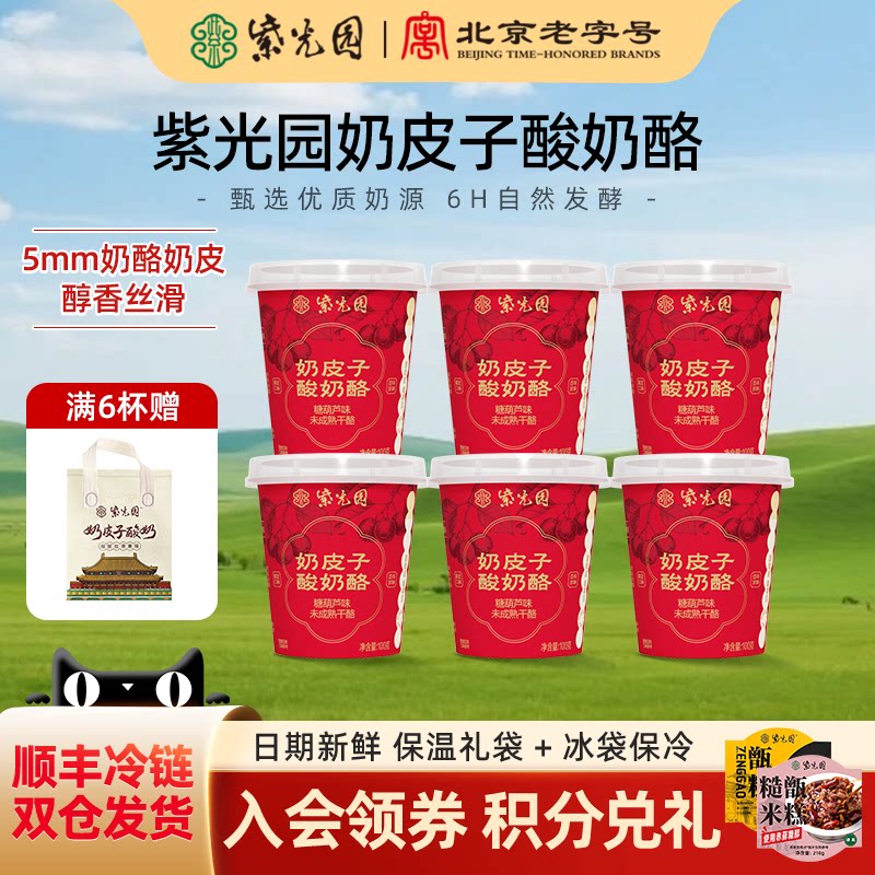 紫光园奶皮子酸奶酪糖葫芦味100g北京老字号年货解腻小吃豆腐酸奶