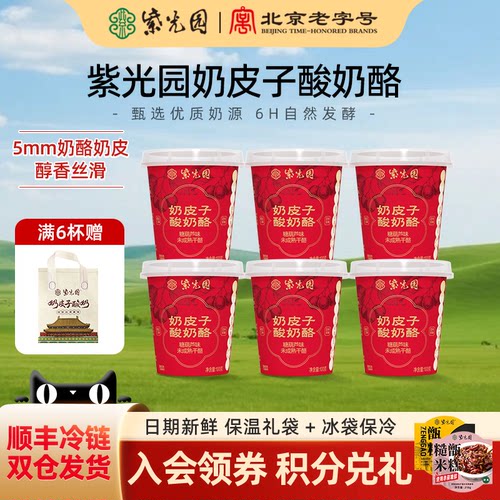 紫光园奶皮子酸奶酪糖葫芦味100g