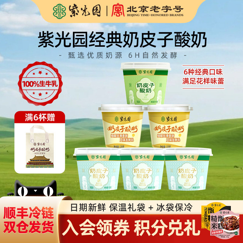 紫光园奶皮子低温奶酸奶乳制品北京老字号特产清真小吃120g送礼袋