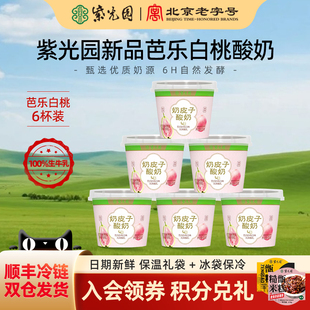 紫光园奶皮子酸奶120g*6