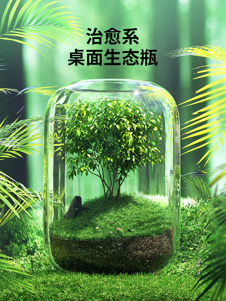 办公室桌面生态瓶自循环微景观免打理微生态玻璃微观鱼缸空瓶造景