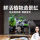 小鱼缸超白玻璃小型微景观生态斗鱼新款 造景全套桌面客厅迷你懒人