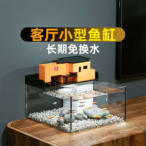 2025新款客厅小型免换水玻璃鱼缸