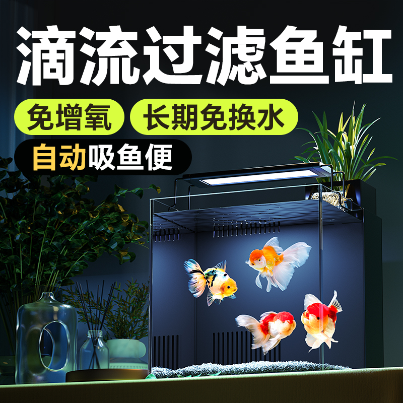 沁小型超白玻璃背过滤兰寿鱼缸