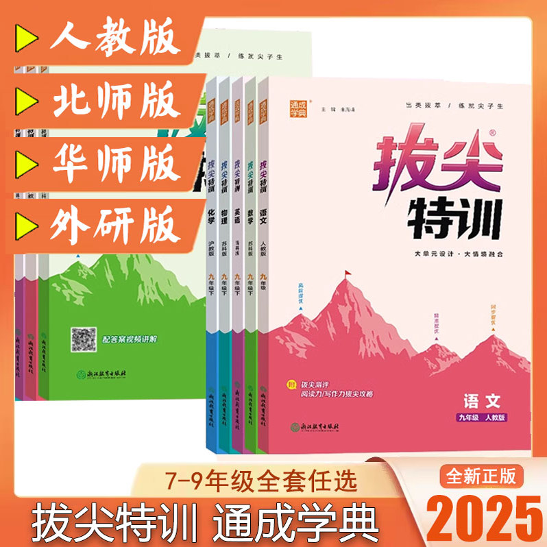 拔尖特训九年级下册语文