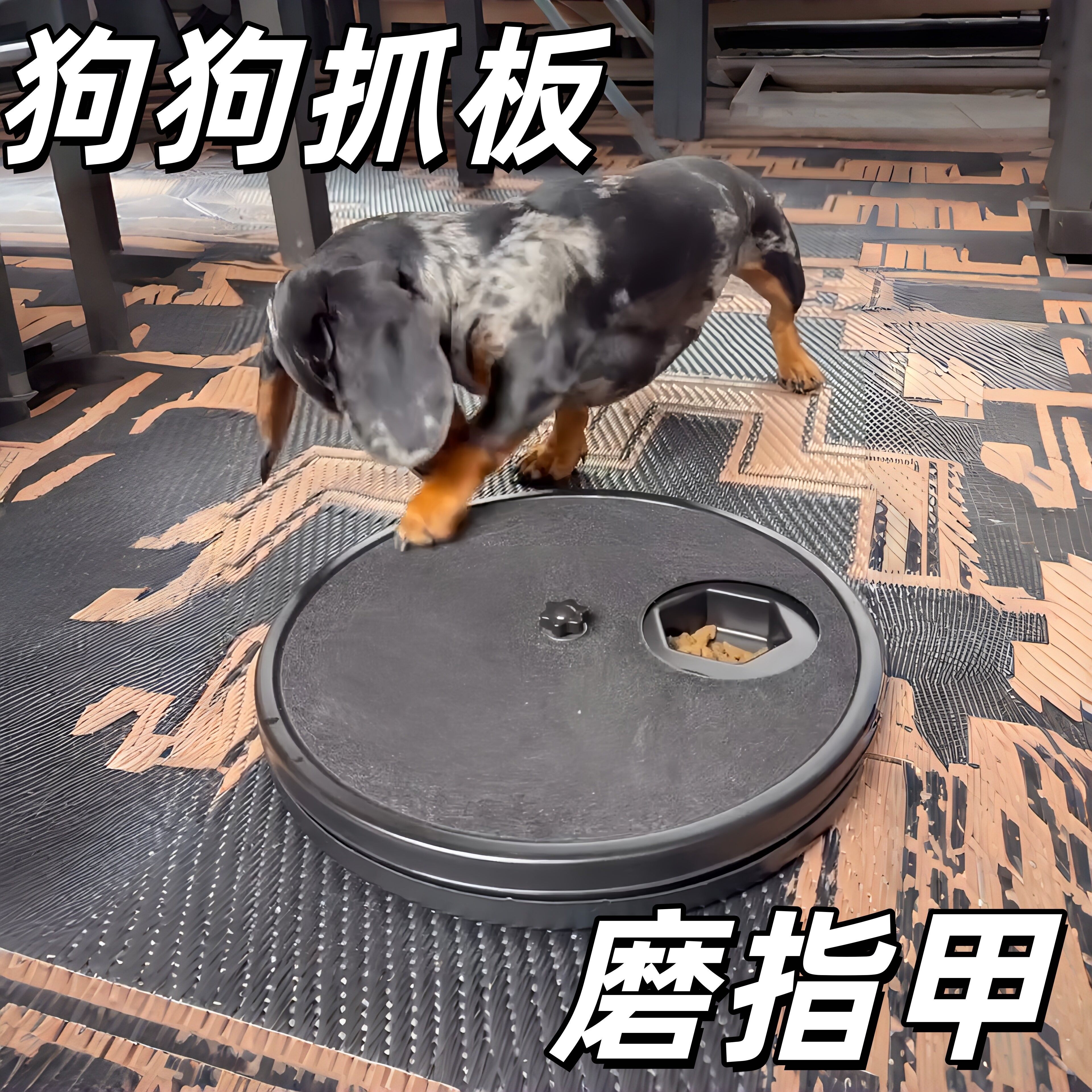 狗狗抓板磨爪板小狗慢食碗可旋转带砂纸宠物磨指甲锉益智藏食玩具