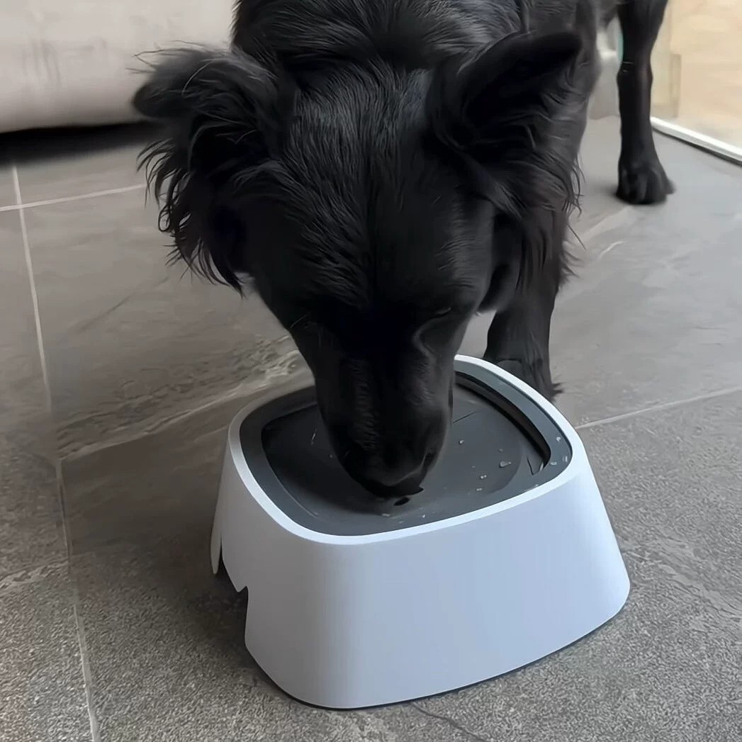 猫狗通用不湿嘴防溅悬浮饮水器