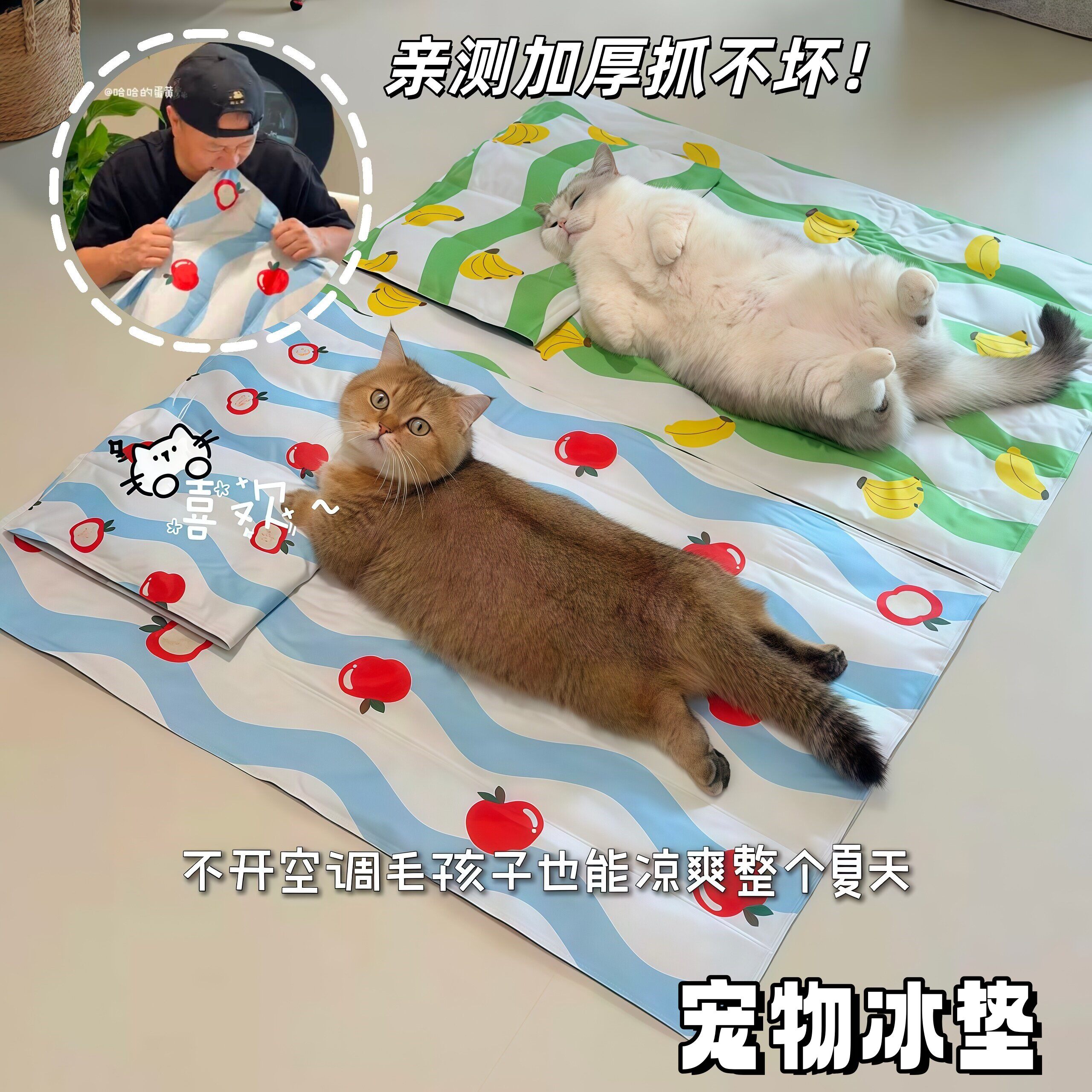 夏季猫狗降温防水耐抓咬冰垫
