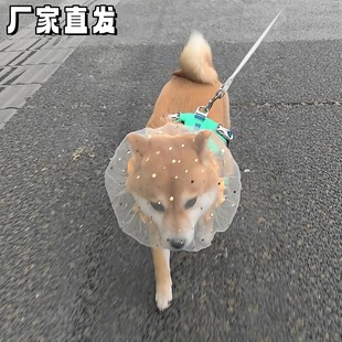 柴犬狗狗防误食头纱宠物头套中小型犬外出遛狗透气网套养宠人好物