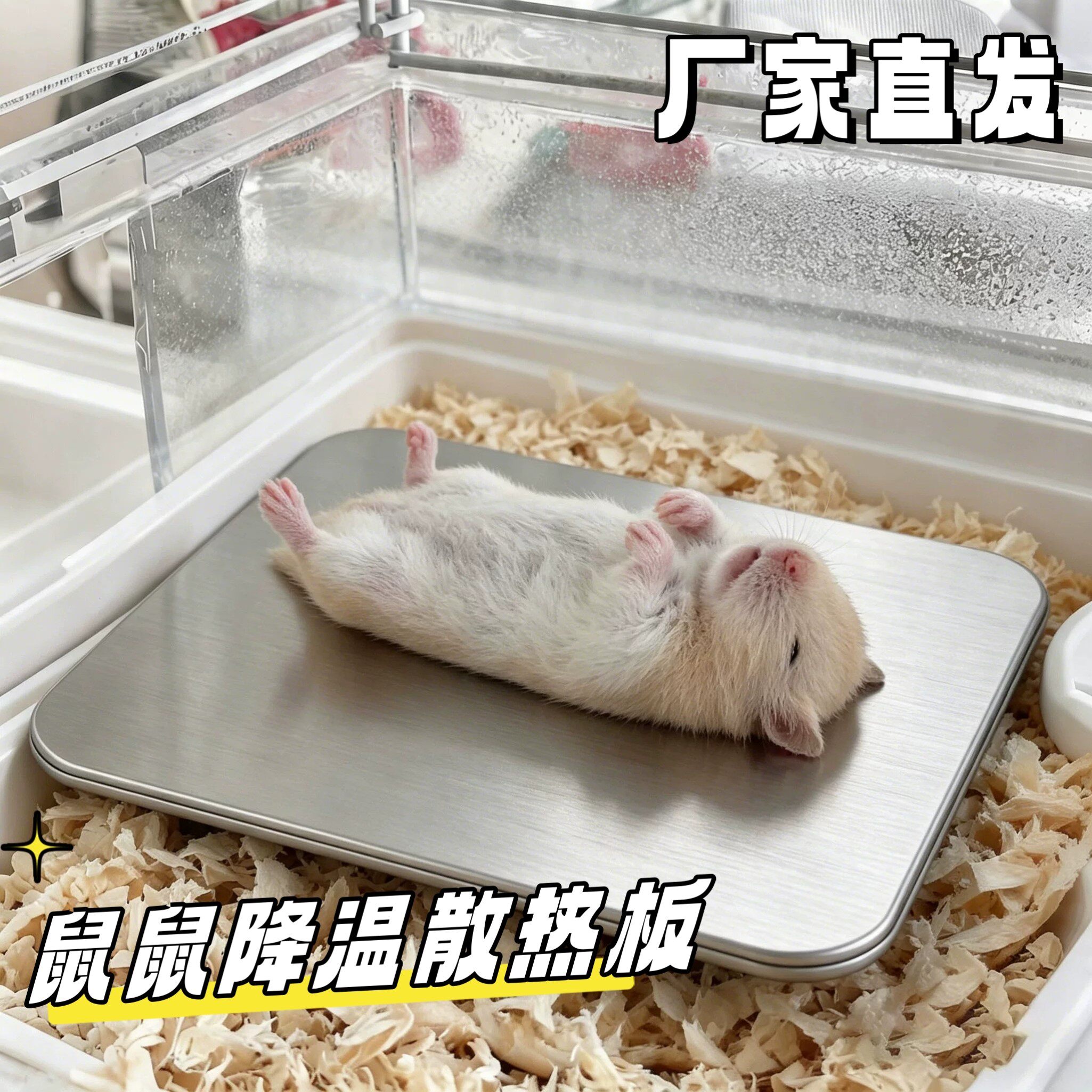 夏季宠物降温散热板耐抓耐咬