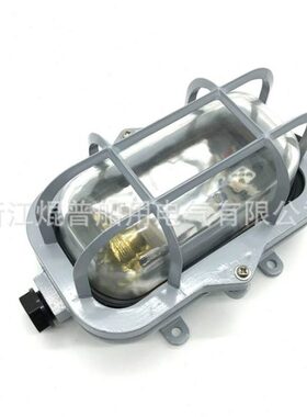 船用舱顶灯吸顶灯防潮灯 CCD2-1-2 白炽舱顶灯 792101 792102直供