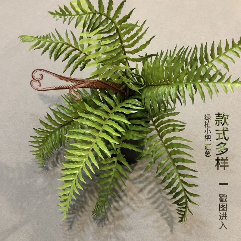 仿真蕨类植物波斯草插地装饰