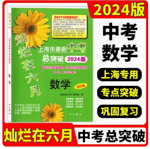 2024版新中考总突破数学
