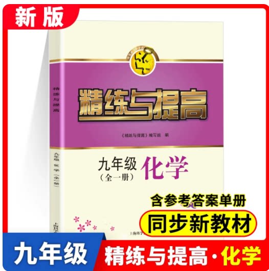 2025秋精练与提高化学 九年级第一二学期/9年级上下册全一册 含答案 上海版配套教辅练习