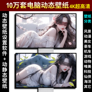 4K超高清电脑动态壁纸桌面动态设置软件直播视频背景素材图片合集