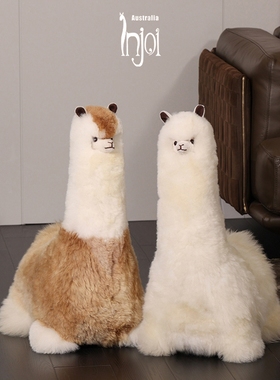 H的礼物清单丨澳大利亚「真羊驼毛」INJOI羊驼神兽公仔摆件礼物