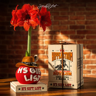 H的礼物清单丨2026年秘鲁朱顶红-交响曲「鸿运当头」摆件新年礼物