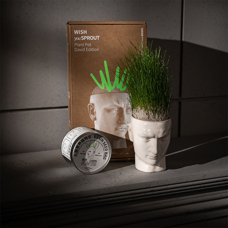 Udoland有独x超级植物「原创设计」大卫草盆栽头好痒发芽头长小草