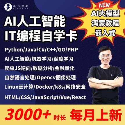 人工智能python编程数据分析Go/Java/Linux鸿蒙课零基础入门课程