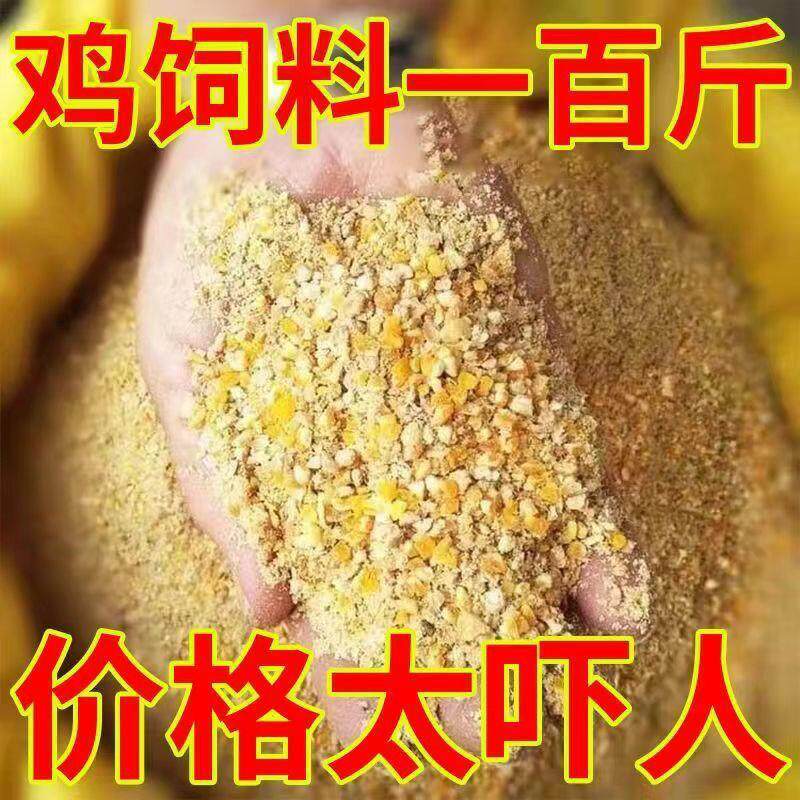 鸡鸭鹅饲料100斤喂玉米碎