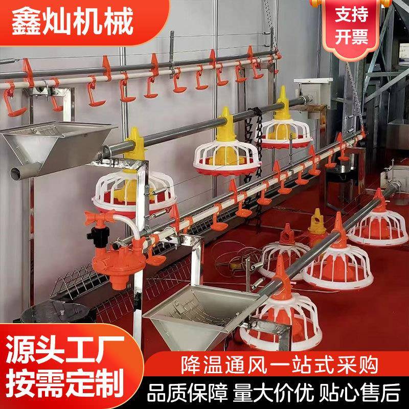 工厂供应自动化供料系统肉鸡肉鸭料线鹅自动料线机械全自动设备