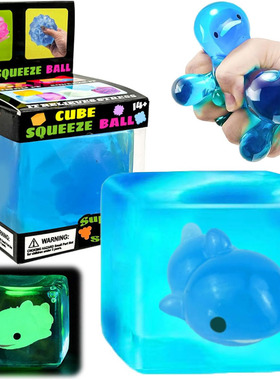 2pcs Squeeze Cube with Luminous Dolphin Inside Maltose Toys