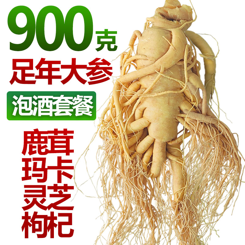 长白山足年整枝保鲜参煲汤泡酒